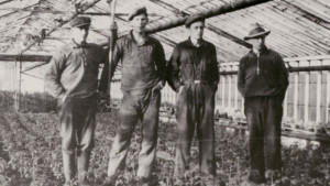 Historiska bild på gårdsarbetare
